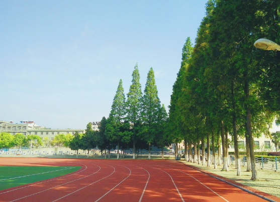 校園精神文化建設之活動！