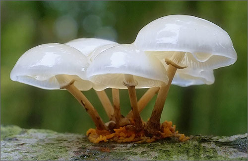 設計傳遞信息的要求以及客戶對設計的期待！