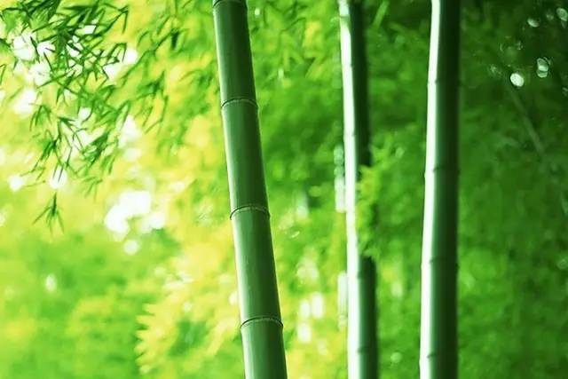 校園文化墻之內(nèi)涵養(yǎng)神！