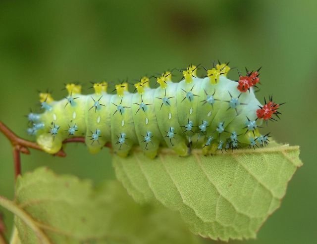 有關的設計分類簡介