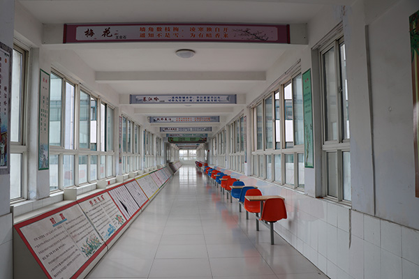 書香校園建設的實踐與體會