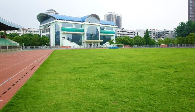 校園--校園建設